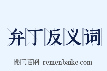弁丁反义词是什么意思的图片